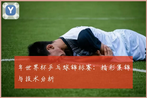 年世界杯乒乓球锦标赛：精彩集锦与技术分析