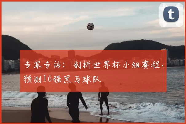 专家专访:剖析世界杯小组赛程,预测16强黑马球队