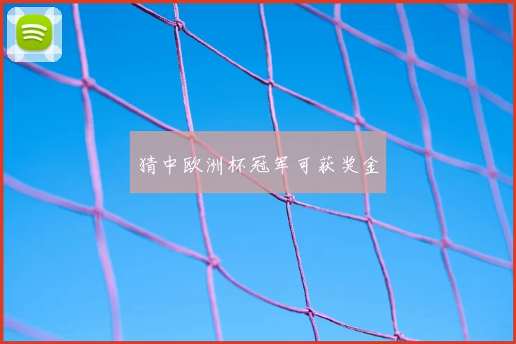 猜中欧洲杯冠军可获奖金