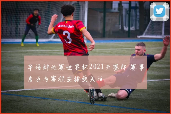 华语辩论赛世界杯2021开赛即 赛事看点与赛程安排受关注