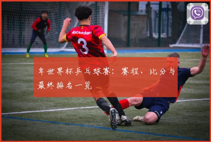 年世界杯乒乓球赛：赛程、比分与最终排名一览