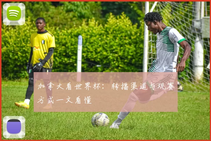 加拿大看世界杯:转播渠道与观赛方式一文看懂