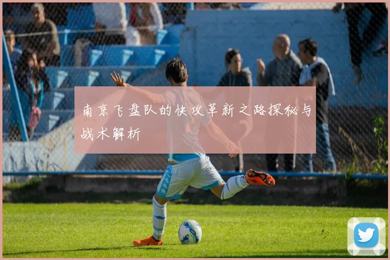 南京飞盘队的快攻革新之路探秘与战术解析