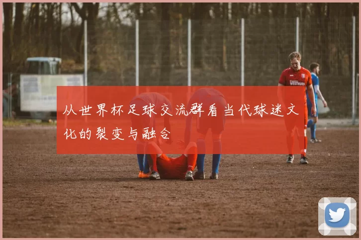从世界杯足球交流群看当代球迷文化的裂变与融合