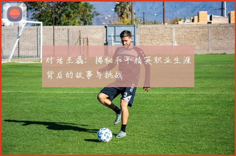 对话王磊：揭秘和平精英职业生涯背后的故事与挑战