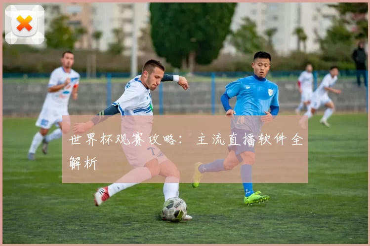 世界杯观赛攻略：主流直播软件全解析