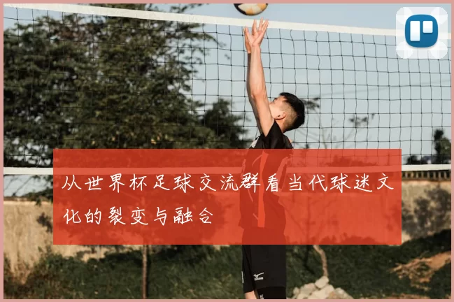 从世界杯足球交流群看当代球迷文化的裂变与融合