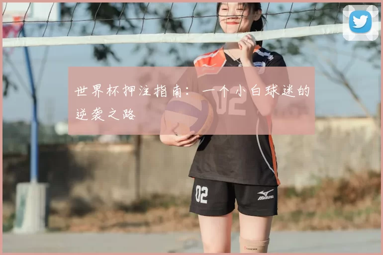 世界杯押注指南：一个小白球迷的逆袭之路