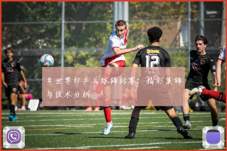 年世界杯乒乓球锦标赛：精彩集锦与技术分析