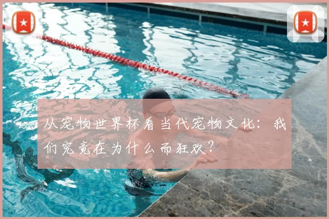 从宠物世界杯看当代宠物文化:我们究竟在为什么而狂欢?