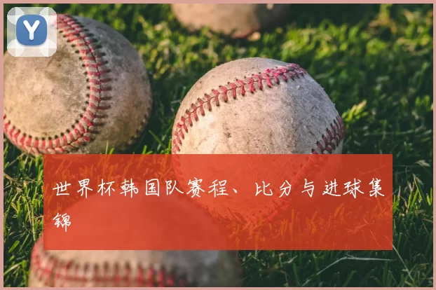 世界杯韩国队赛程、比分与进球集锦
