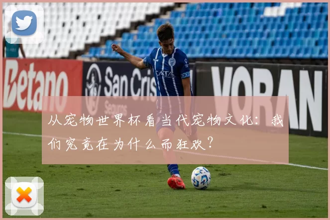从宠物世界杯看当代宠物文化:我们究竟在为什么而狂欢?