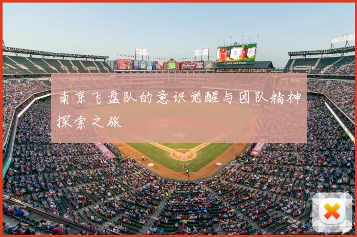 南京飞盘队的意识觉醒与团队精神探索之旅