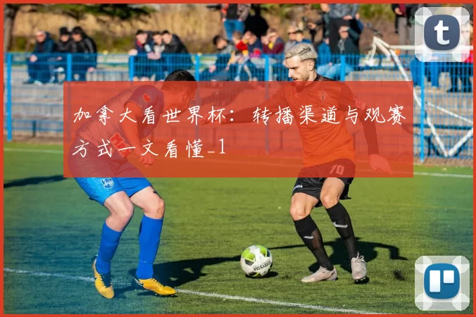 加拿大看世界杯：转播渠道与观赛方式一文看懂_1